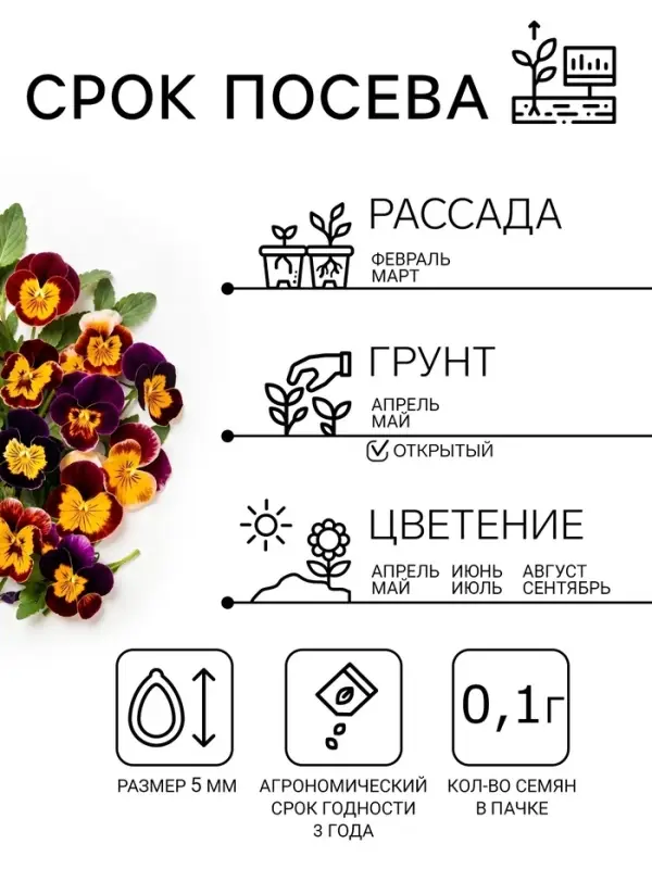Семена цветов Виола "Шотландия", 0,1 г