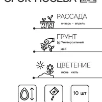 Семена цветов Петуния ампельная крупноцветковая &laquo;Синяя звезда&raquo;, F1, серия &laquo;Лавина&raquo;, однолетник, драже, 10 шт.