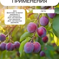 Гидрогель &laquo;Рецепты Дедушки Никиты&raquo;, гранула, 50 г