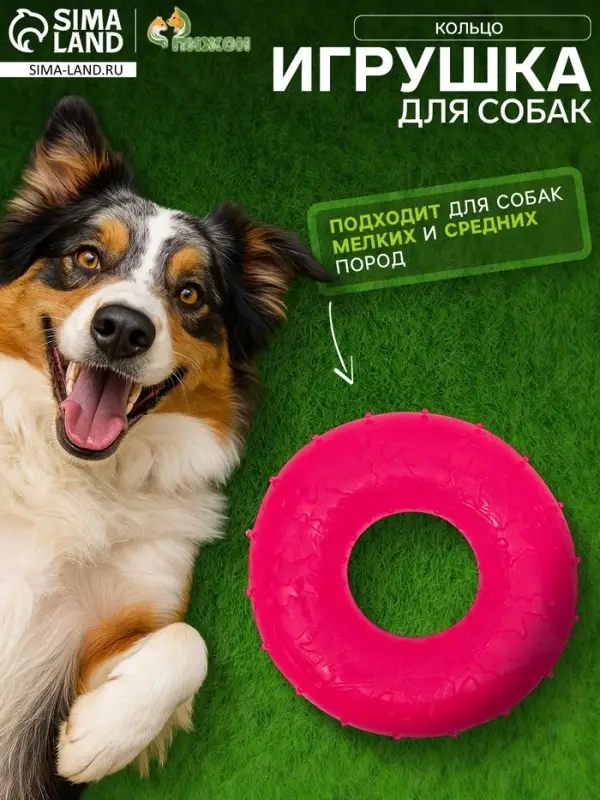 Жевательная игрушка для собак &laquo;Кольцо&raquo;, 6.7&times;2 см, прозрачная, PP, розовая