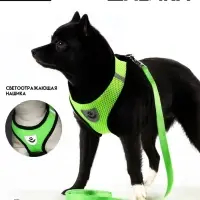 Шлейка с поводком, размер L, ОШ 33, ОГ 36-48, мягкая, со светоотражающей нашивкой, зелёная