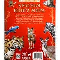 Энциклопедия &laquo;Красная книга мира&raquo;, 160 стр., книга в твёрдом переплёте