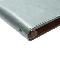 Органайзер на кольцах, C6, с хлястиком, 80л, линия, к/зам, Зеленый