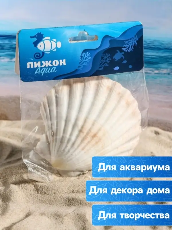 Ракушка декоративная Гребешок, 10-12 см