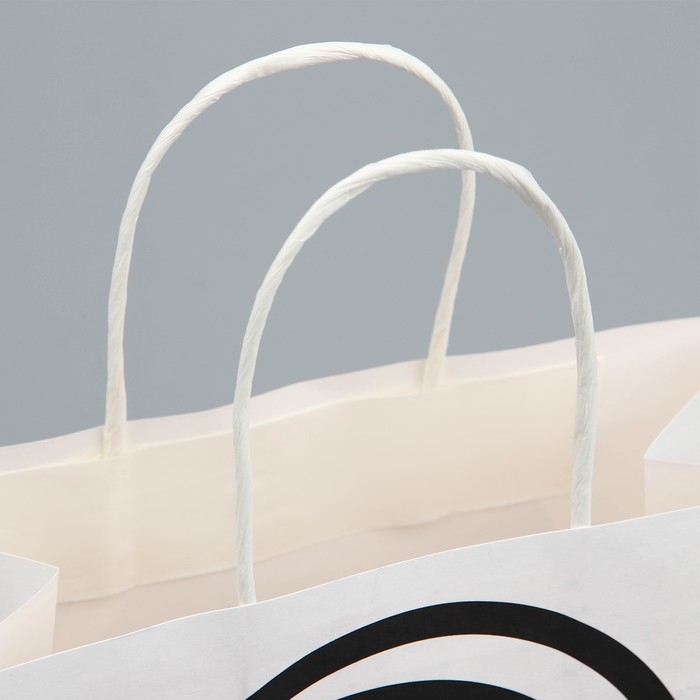 Пакет подарочный, упаковка, «С Дэ Рэ», 22 х 22 х 11 см Пакет подарочный, упаковка, «С Дэ Рэ», 22 х 22 х 11 см