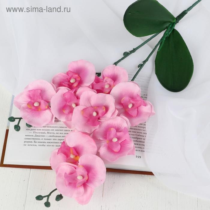 Цветы искусственные  Цветы искусственные "Орхидея Фаленопсис мультифлора" 6х37 см, розовый микс