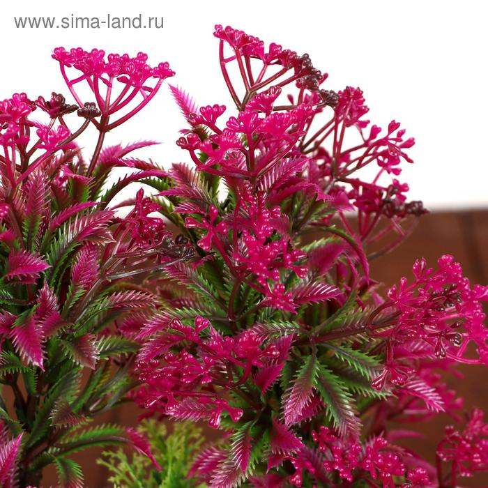 Бонсай в горшке Бонсай в горшке "Остролист мелкие ягодки" 23х24 см, микс