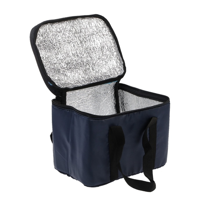 Термосумка Cartage Т-16, синяя, 10 л, 26х19х19 см Термосумка Cartage Т-16, синяя, 10 л, 26х19х19 см