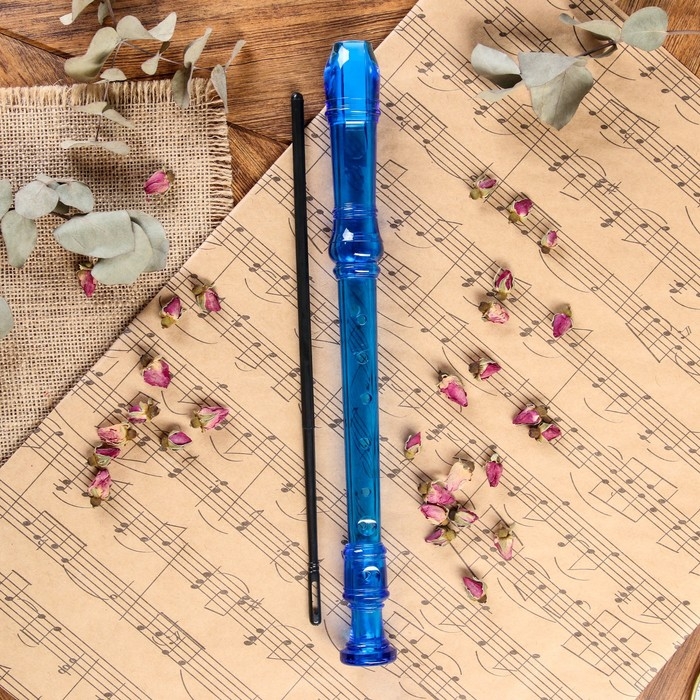 Блокфлейта Music Life, 8 отверстий, немецкая система, синяя Блокфлейта Music Life, 8 отверстий, немецкая система, синяя