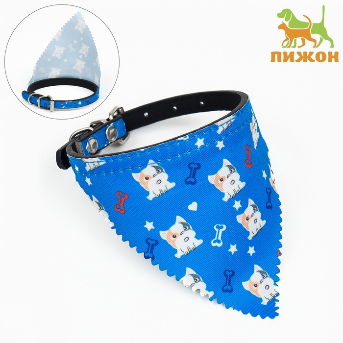 Ошейник с косынкой Ошейник с косынкой "Яркая жизнь", 32 х 1 см, синий