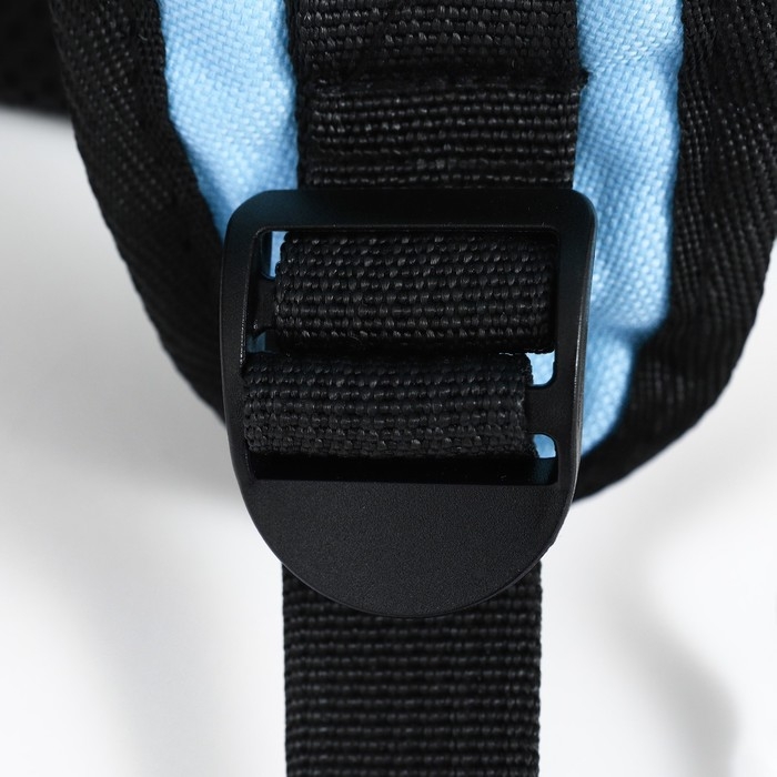 Рюкзак для переноски кошек и собак, с окном для обзора, голубой Рюкзак для переноски кошек и собак, с окном для обзора, голубой