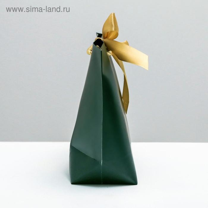 Пакет подарочный, упаковка, Present for you, 19 х 20 х 9 см Пакет подарочный, упаковка, Present for you, 19 х 20 х 9 см