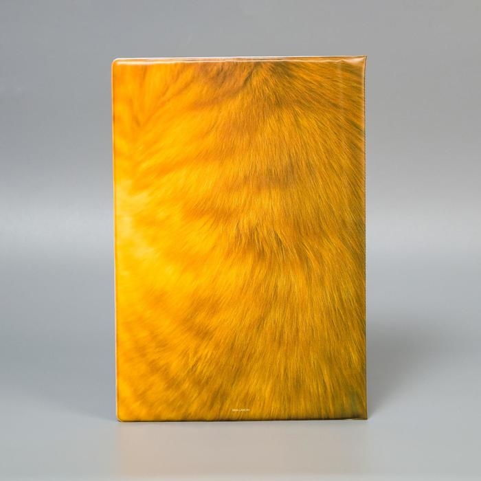 Обложка для семейных документов  Обложка для семейных документов "Docs" 8 файлов А4