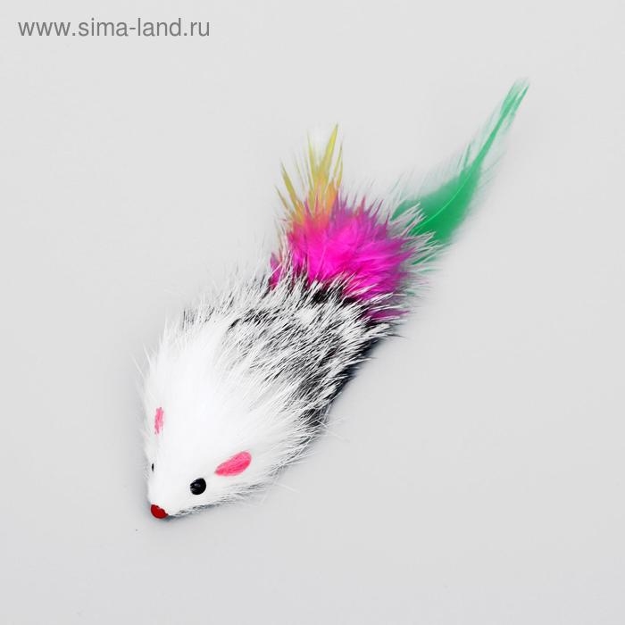 Мышь из натурального меха с хвостом из перьев, 6,5 см, микс цветов Мышь из натурального меха с хвостом из перьев, 6,5 см, микс цветов
