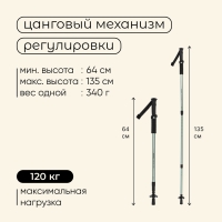 Палки треккинговые maclay Alu 100, телескопические, 2 шт.