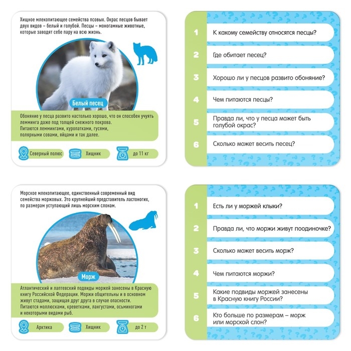 Настольная игра-викторина &laquo;Коробочка знаний. Факты о животных&raquo;, 50 карт, кубик, 5+