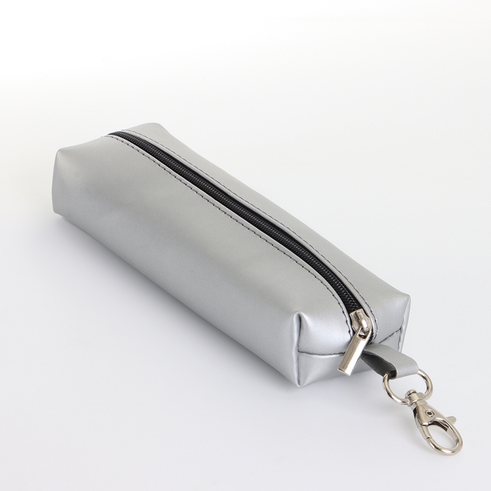 Ключница на молнии, длина 16 см, кольцо, карабин, цвет серебряный Ключница на молнии, длина 16 см, кольцо, карабин, цвет серебряный