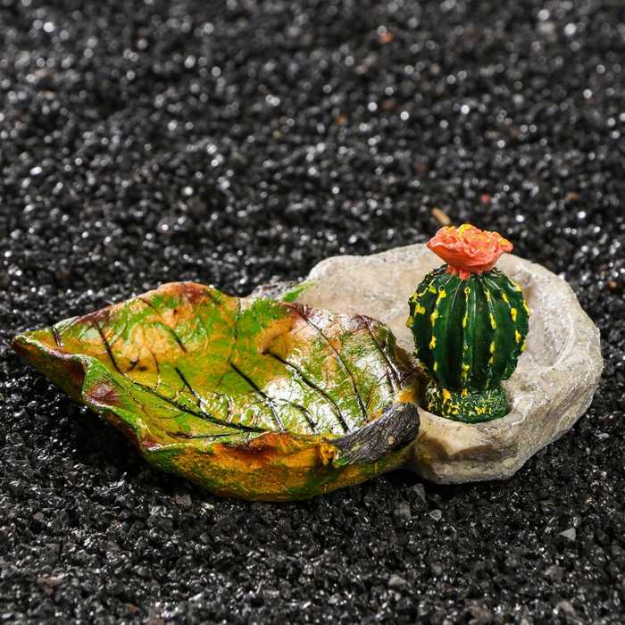 Кормушка для террариума, 14,5 х 13 х 7 см Кормушка для террариума, 14,5 х 13 х 7 см