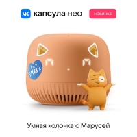 Умная колонка VK Нео (VKSP11OR), голосовой помощник Маруся, 5Вт, Wi-Fi, BT 5.0, оранжевая