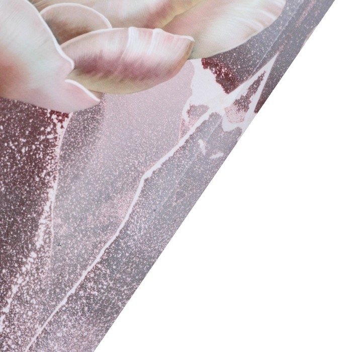 Картина- холст на подрамнике Картина- холст на подрамнике "Фемина-астра" 60*100см