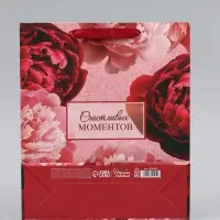 Пакет подарочный вертикальный &laquo;Счастливых моментов&raquo;, 25.5&times;30&times;9 см