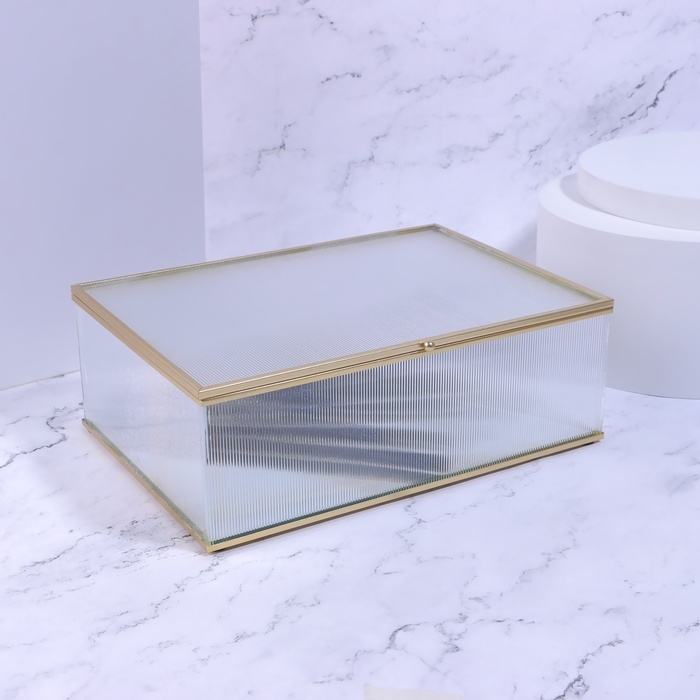 Органайзер для хранения «RIPPLES», с крышкой, стеклянный, с зеркальным дном, 1 секция, 25 × 17,5 × 8,5 см, цвет прозрачный/медный Органайзер для хранения «RIPPLES», с крышкой, стеклянный, с зеркальным дном, 1 секция, 25 × 17,5 × 8,5 см, цвет прозрачный/медный