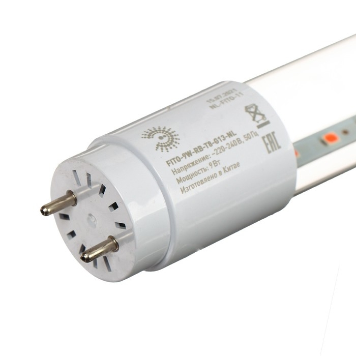 Фитолампа светодиодная, для растений, 9 Вт, T8, 600 мм, цоколь G13, IP20, сине-красный спектр, фиолетовая, «ЭРА»