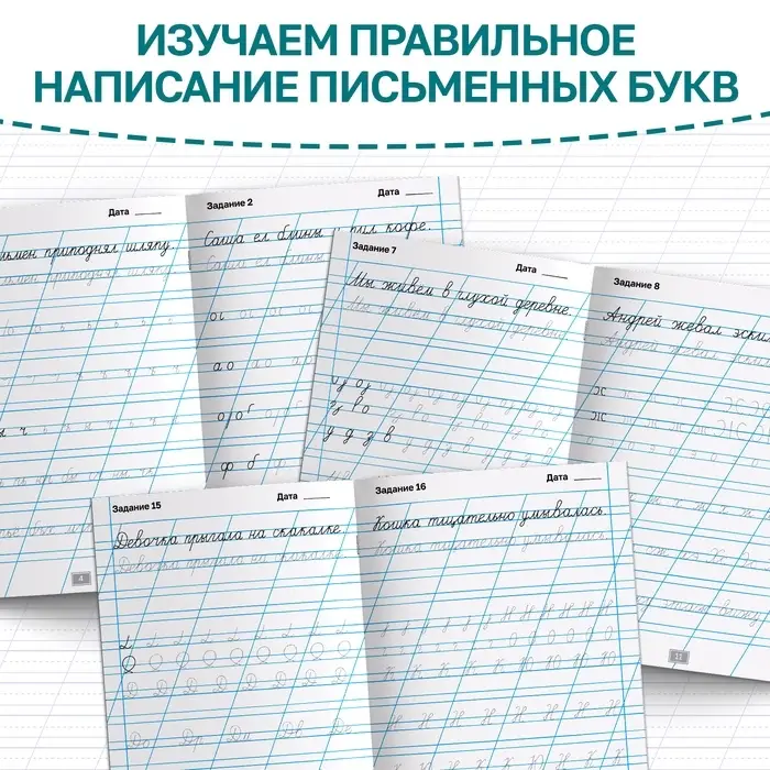 Тренажёр &laquo;Чистописание&raquo;, для 1-2 класса, 36 стр.