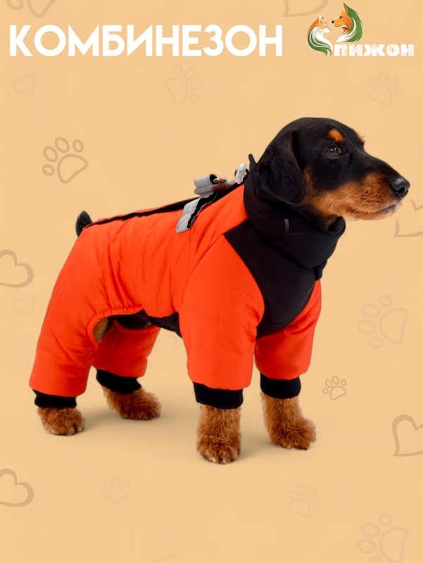 Комбинезон Комбинезон "Тренд", оксфорд, L (ДС 32, ОШ 33, ОГ 43 см, вес 9-11 кг), оранжевый