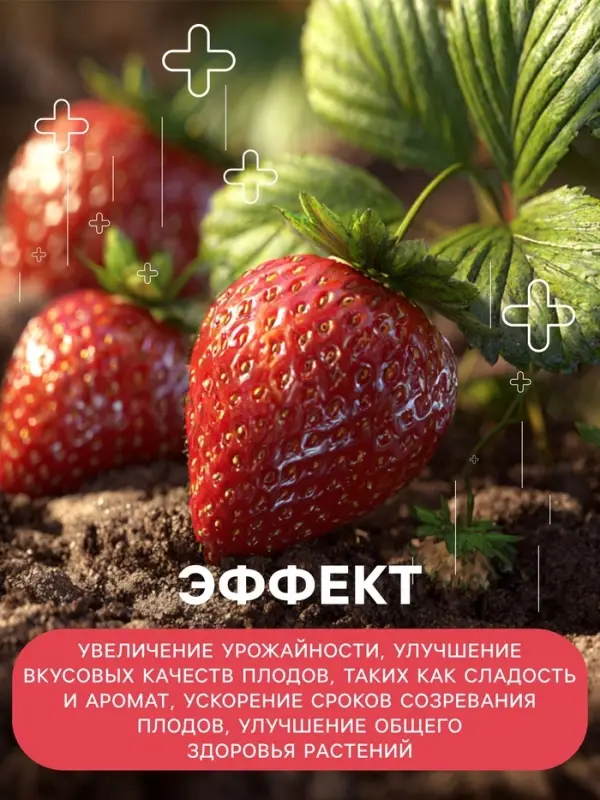 Удобрение органоминеральное &laquo;Буйские удобрения&raquo;, для клубники, земляники, 1 кг