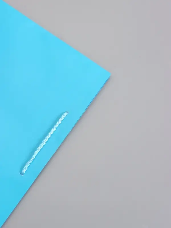 Пакет подарочный "Чёткий акцент" ламинированный 26 х 12 х 32 см