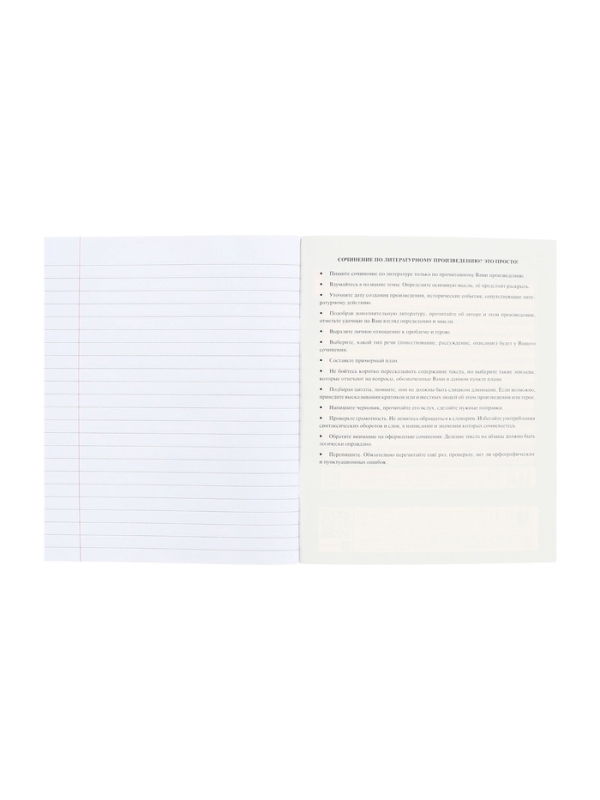 Тетрадь 48 листов в линию &laquo;Салют предметов&raquo; ЛИТЕРАТУРА, обложка мелованный картон, матовая ламинация, 3D-лак, тиснение фольгой, с интерактивным...