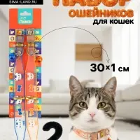 Набор ошейников для кошек &laquo;Пижон. Котя&raquo;, 30&times;1 см, оранжевый, синий