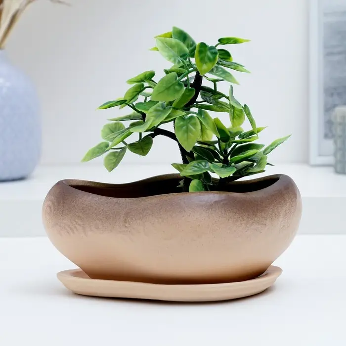 Горшок Горшок "Бонсай малый" для кактусов и суккулентов, бежевый, 17х14х8см