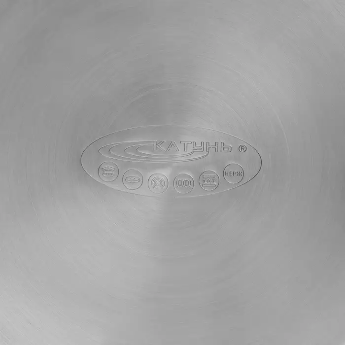 Кастрюля Катунь &laquo;Титан&raquo;, 6.4 л, d=22 см, h=17 см, с крышкой, капсульное дно, индукция, нержавеющая сталь, AISI - 201, хромированная