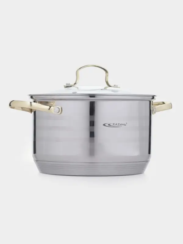 Кастрюля 4,5 л "ЭЛИС ГОЛД" ф22х13 см