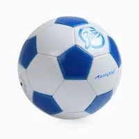 Футбольный мяч ONLYTOP &laquo;Забей&raquo;, машинная сшивка, 32 панели, р. 5, PVC