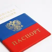 Обложка для паспорта, цвет триколор