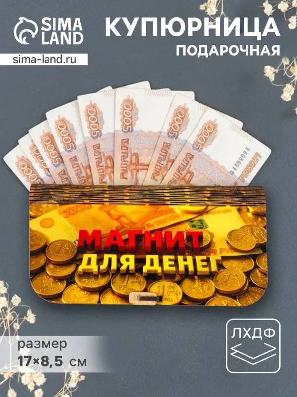 Купюрница подарочная &laquo;Магнит для денег&raquo;, 17&times;8.5 см