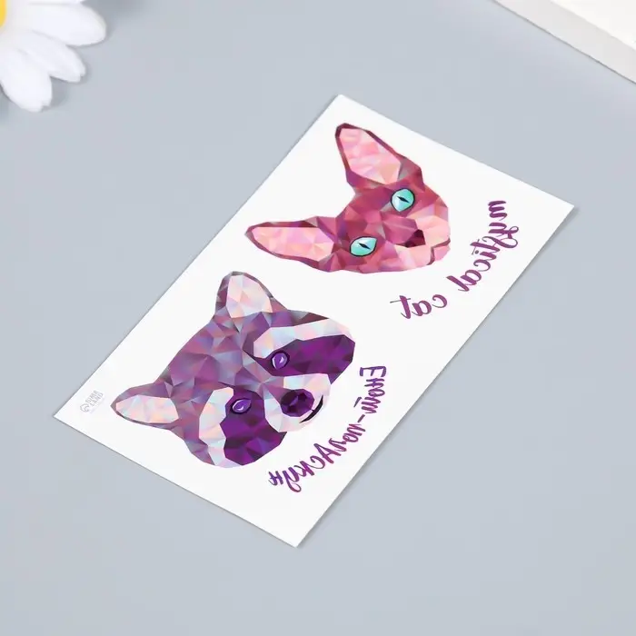 Переводная тату на тело цветная «Сфинкс и енот», двойная, 10.5×6 см