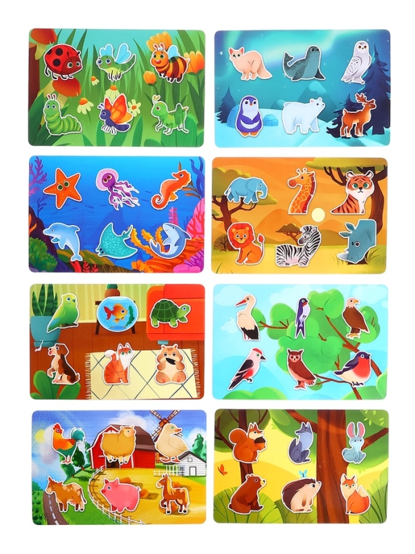 Развивающий набор Развивающий набор "Магнитное лото"