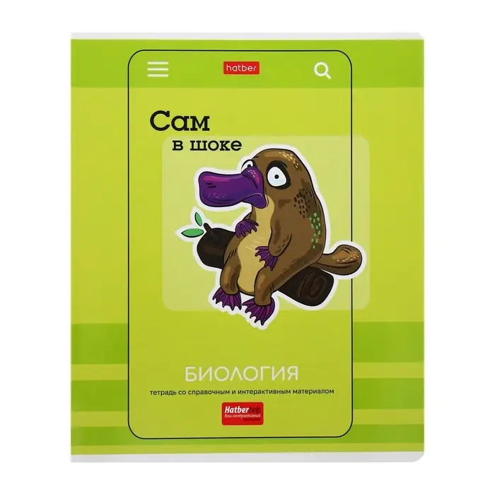 Комплект предметных тетрадей 24 листа &laquo;Статусы&raquo;, 10 предметов, обложка мелованный картон, со справочным материалом