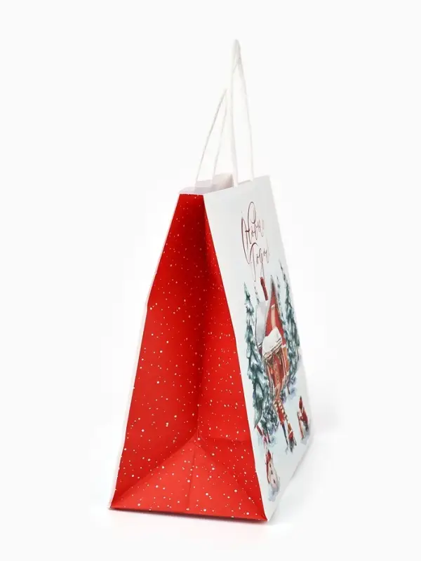 Набор пакетов крафтовых &laquo;Новогодний&raquo;, 10 шт, 22 &times; 22 &times; 11 см