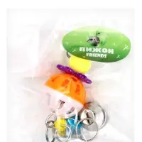 Игрушка для птиц "Дискотека" с зеркалом и шариком, 19 х 4 см, микс цветов