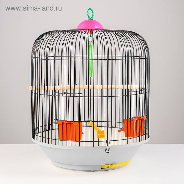 Клетка для птиц круглая, двухъярусная сварная, большой поддон, 39 x 44 см, микс цветов Клетка для птиц круглая, двухъярусная сварная, большой поддон, 39 x 44 см, микс цветов