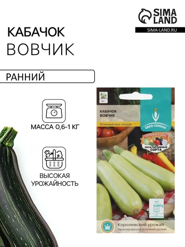 Семена Кабачок &laquo;Вовчик&raquo;, раннеспелый, белоплодный, универсальный, 1 г, &laquo;Евро-семена&raquo;