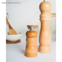Мельница для специй Доляна &laquo;Дуновение леса&raquo;, 10.5&times;4.5 см, керамический механизм, бежевая