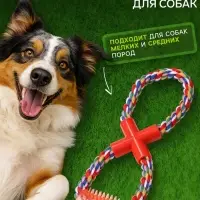 Игрушка канатная &laquo;Восьмерка с зубочисткой&raquo;, тренировочная, до 27 см, до 140 г, цвет МИКС