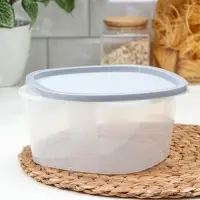 Контейнер для продуктов с мерной шкалой SparkPlast BioFresh, 2.65 л, прозрачный, пластик, крышка МИКС