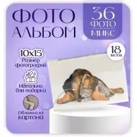 Фотоальбом на 36 фото 10×15 см «Пёс и котёнок», 18 листов, МИКС